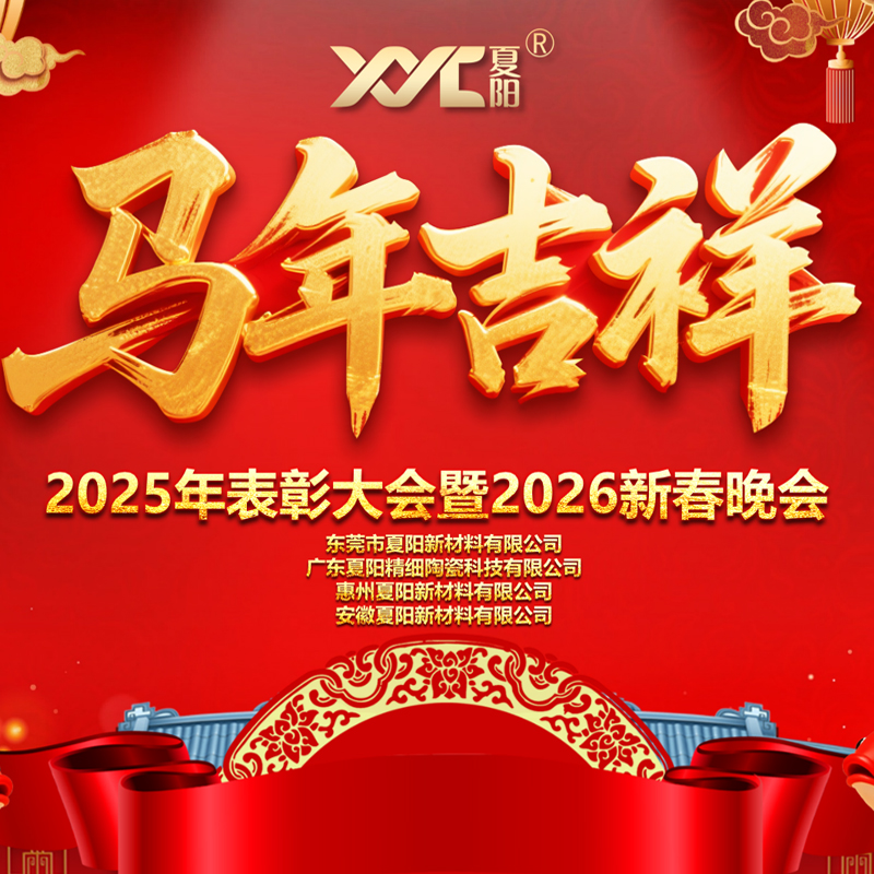 共享荣耀，共启新程 | 夏阳公司2025年度年会盛典圆满落幕